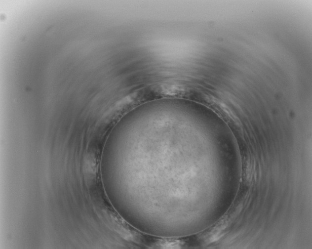 X0000088610569200706011230