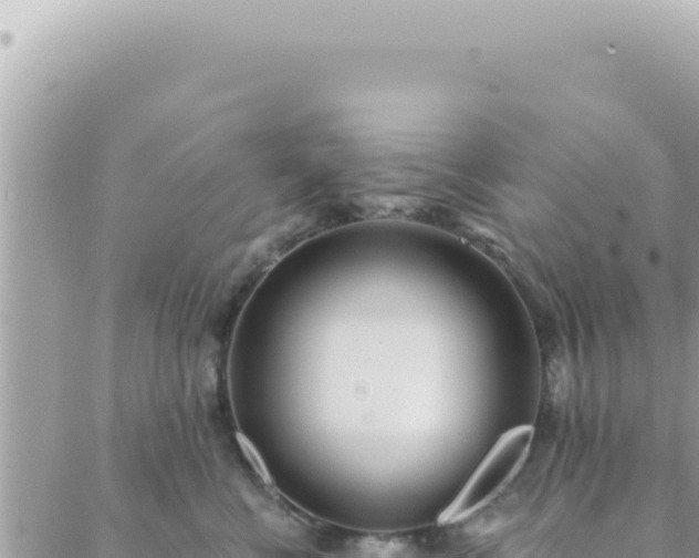 X0000088610570200706011230