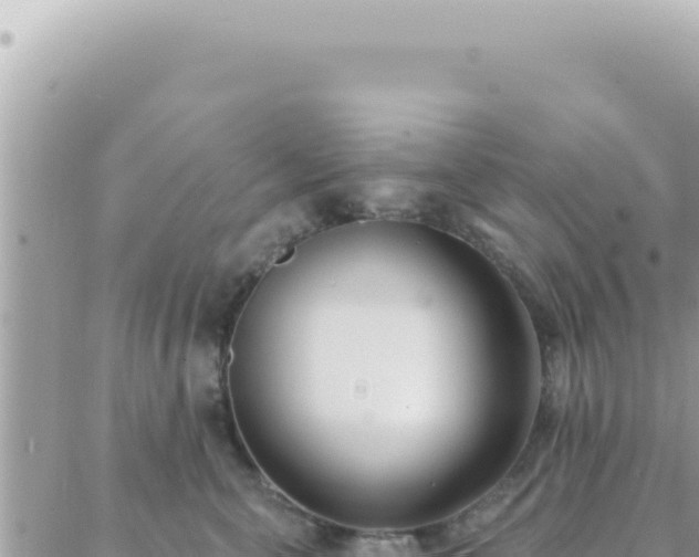 X0000088610571200706011230