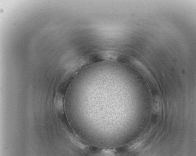 X0000088610573200706011230