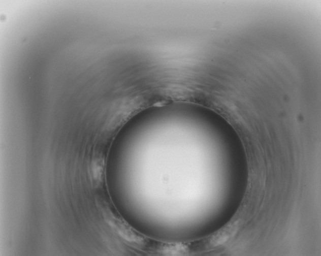 X0000088610576200706011230