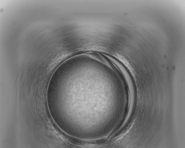 X0000088610577200706011230