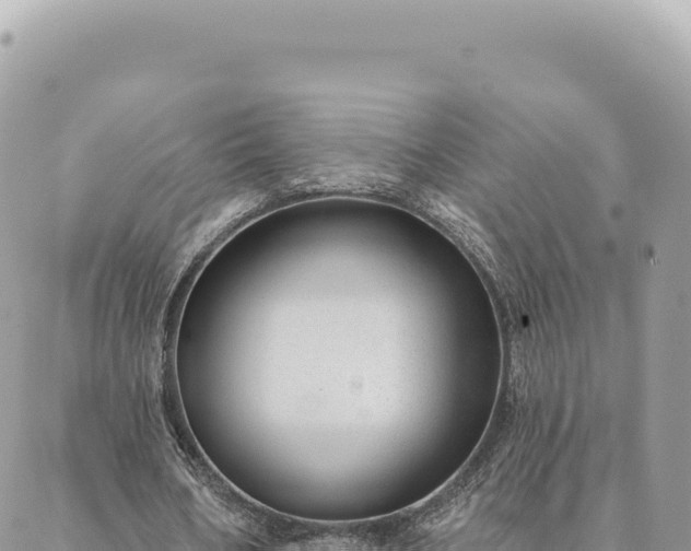 X0000088610578200706011230