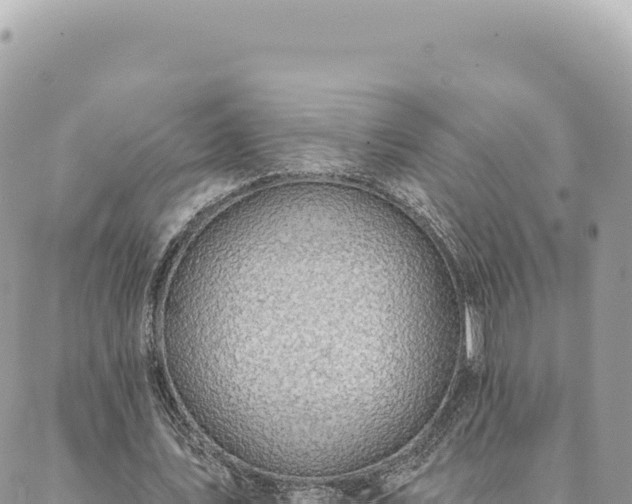 X0000088610579200706011230