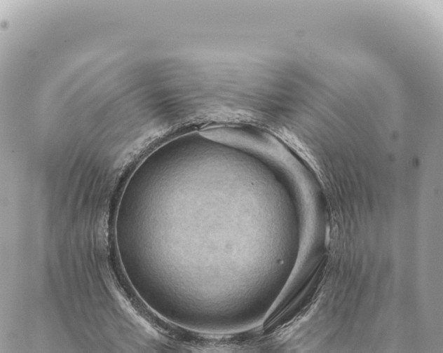 X0000088610581200706011230