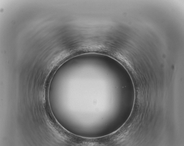 X0000088610582200706011230