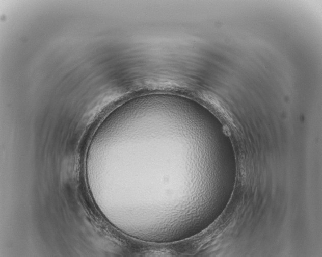 X0000088610583200706011230