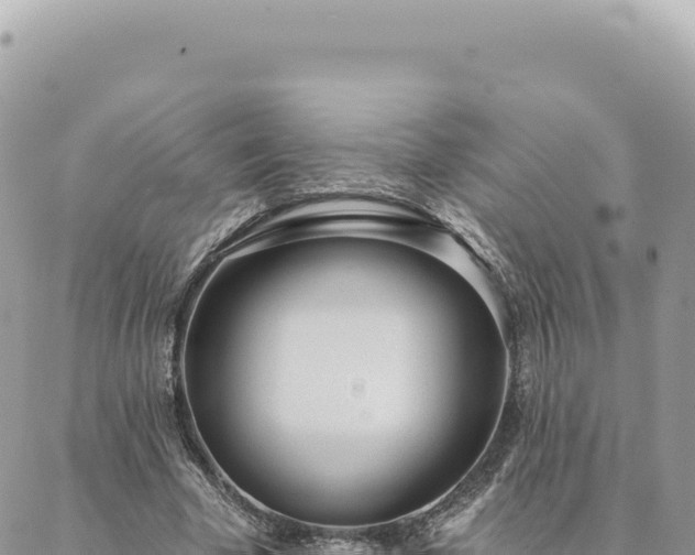 X0000088610585200706011230