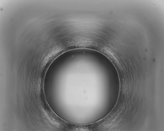 X0000088610586200706011230