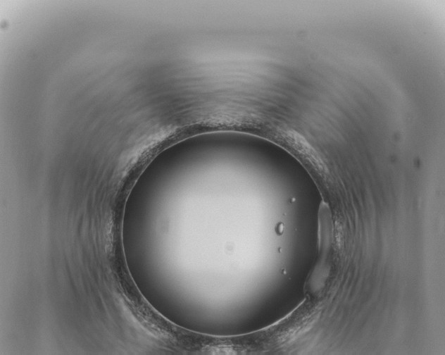 X0000088610588200706011230