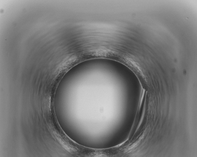 X0000088610589200706011229