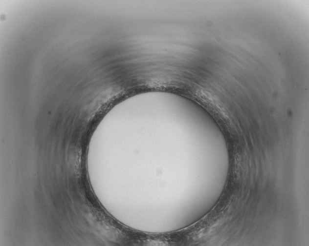 X0000088610592200706011229