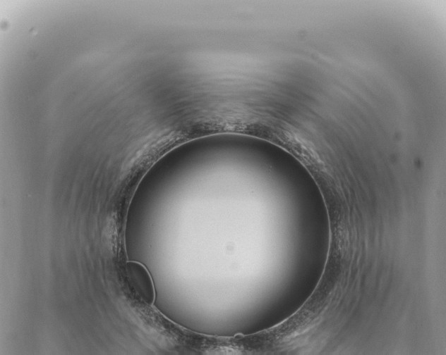 X0000088610594200706011229