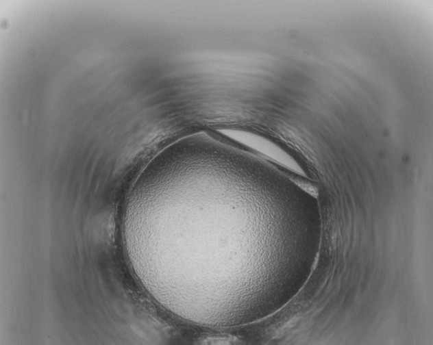 X0000088610595200706011229