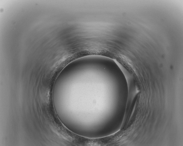 X0000088610596200706011229