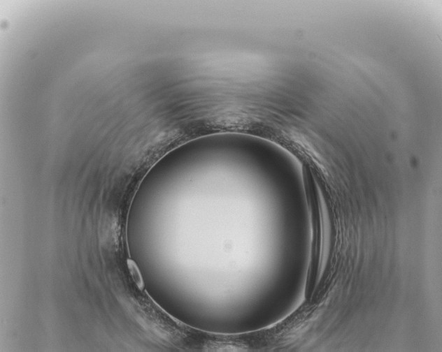 X0000088610597200706011229