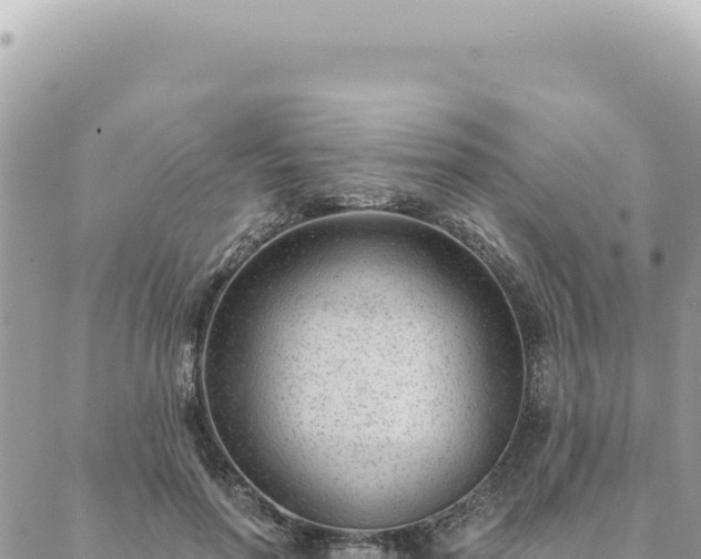 X0000088610598200706011229