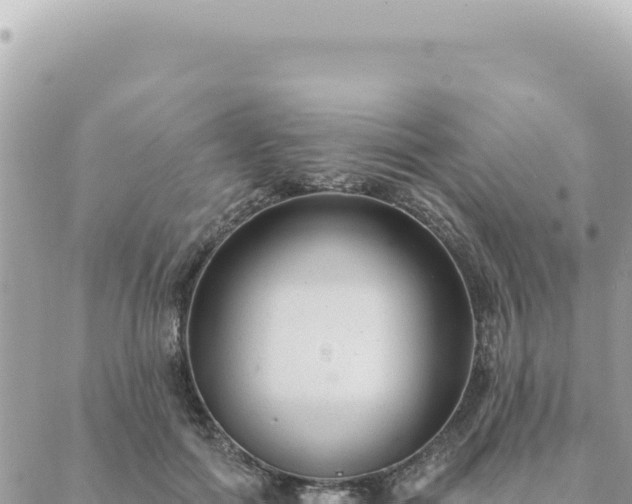 X0000088610602200706011229