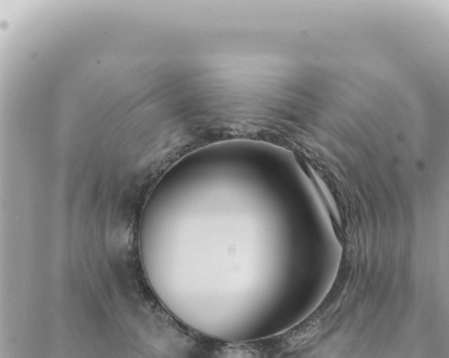 X0000088610608200706011229