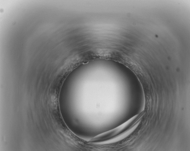 X0000088610609200706011229