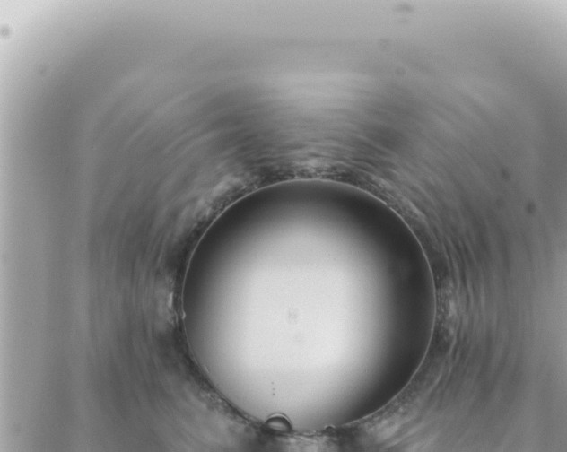 X0000088610615200706011229