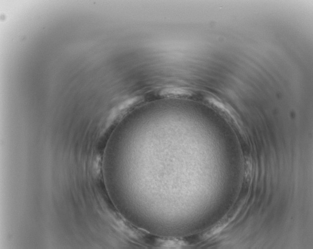 X0000088610621200706011229