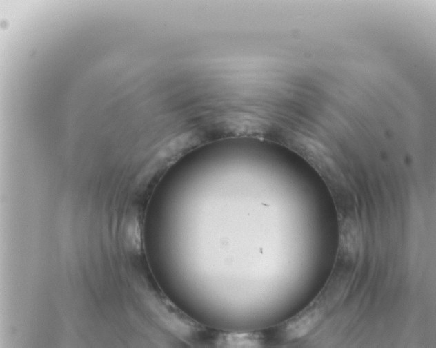 X0000088610622200706011229