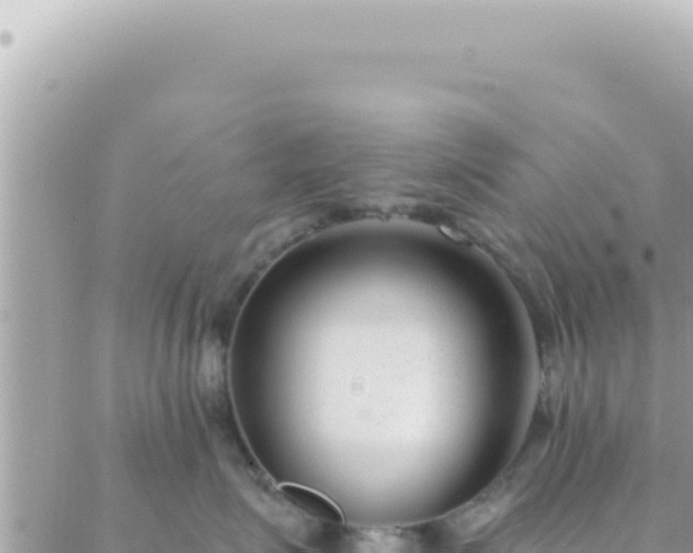 X0000088610623200706011229