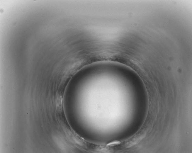 X0000088610624200706011229