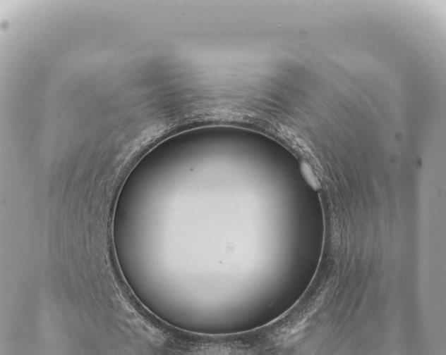 X0000088610625200706011228