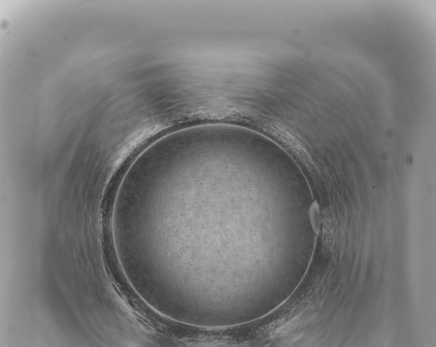 X0000088610626200706011228