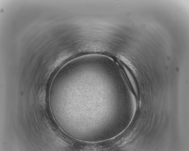 X0000088610627200706011228