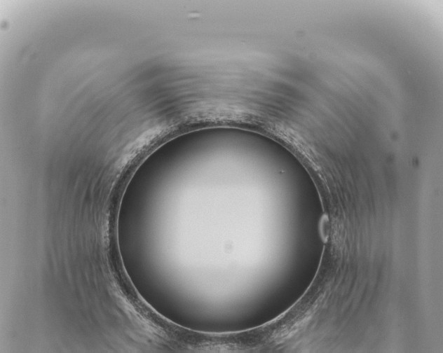 X0000088610629200706011228