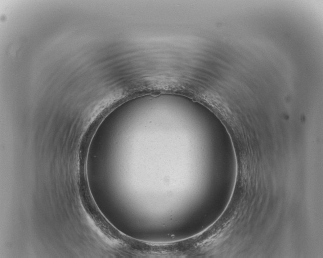 X0000088610630200706011228