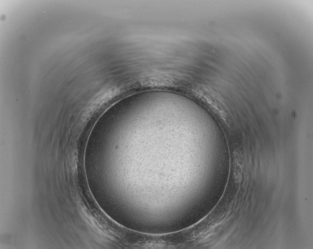 X0000088610631200706011228