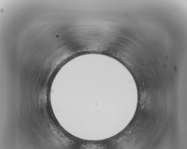 X0000088610632200706011228