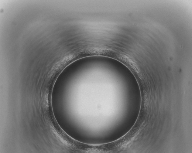 X0000088610633200706011228