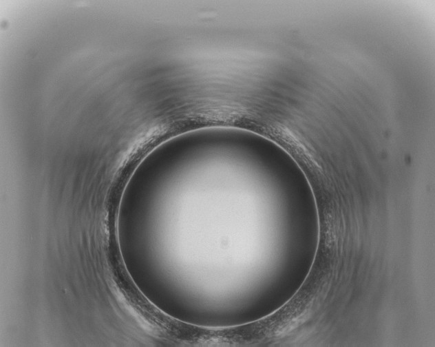 X0000088610634200706011228