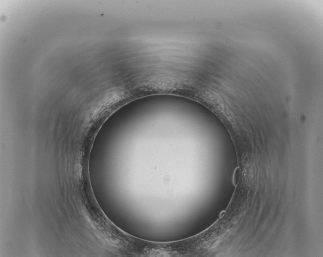 X0000088610635200706011228