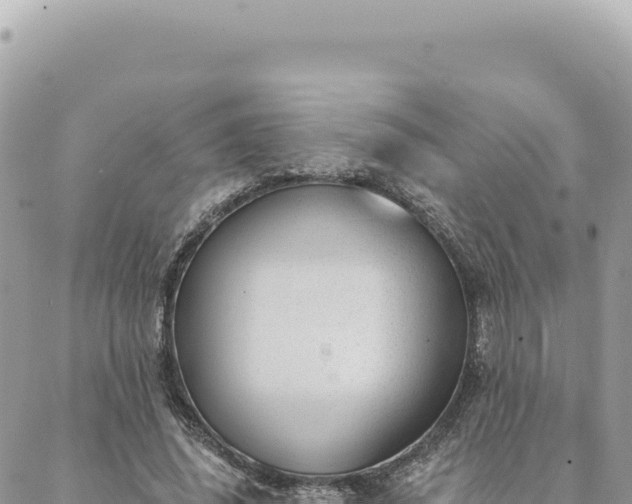 X0000088610636200706011228