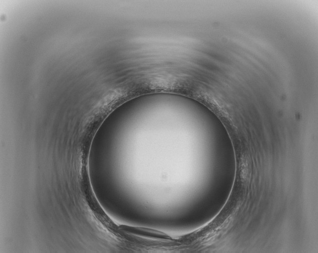 X0000088610637200706011228