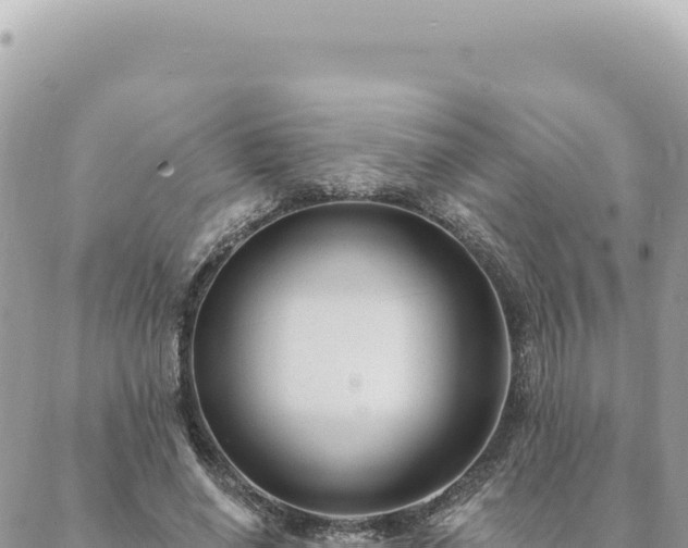 X0000088610638200706011228