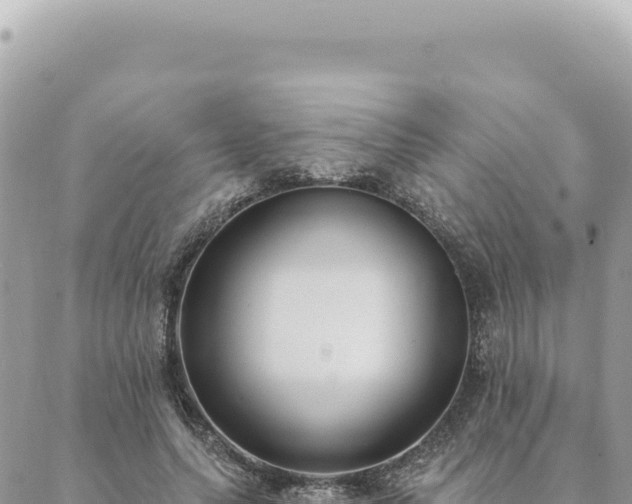 X0000088610639200706011228