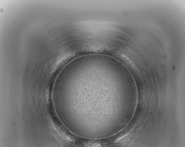 X0000088610640200706011228