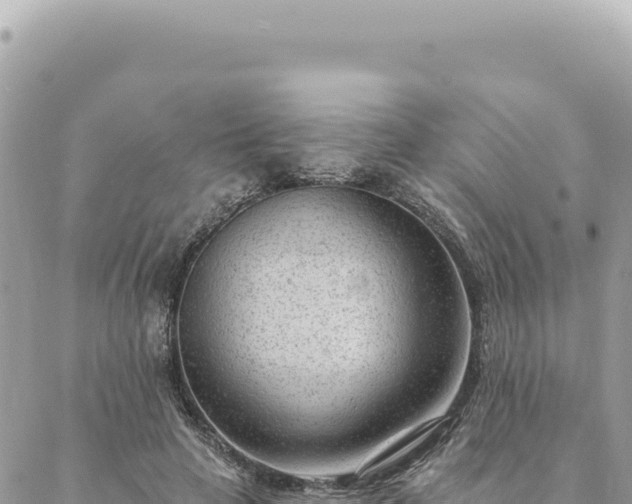 X0000088610641200706011228