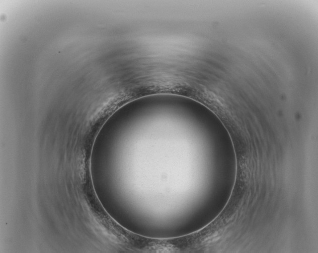 X0000088610642200706011228