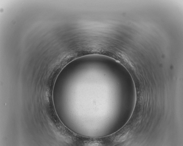 X0000088610643200706011228