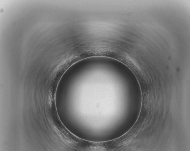 X0000088610644200706011228