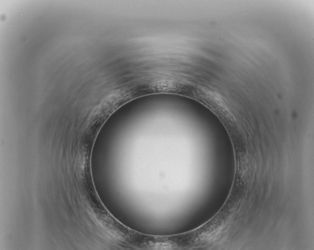 X0000088610645200706011228