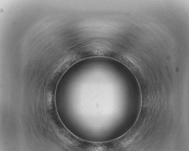 X0000088610646200706011228